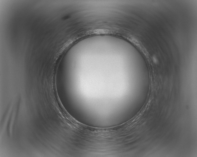 X0000059080297200510070937