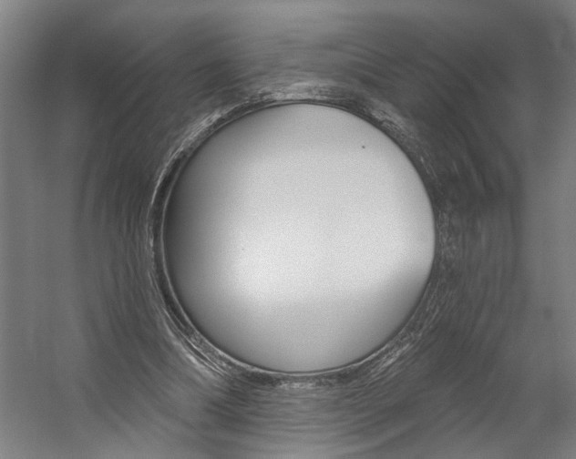 X0000059080298200510070937