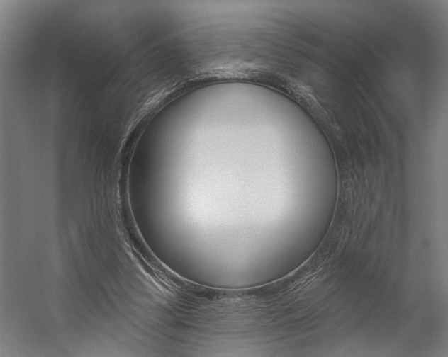 X0000059080299200510070937