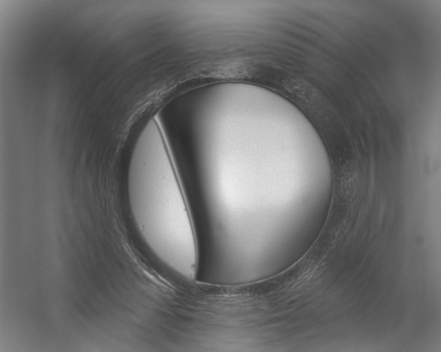 X0000059080303200510070937