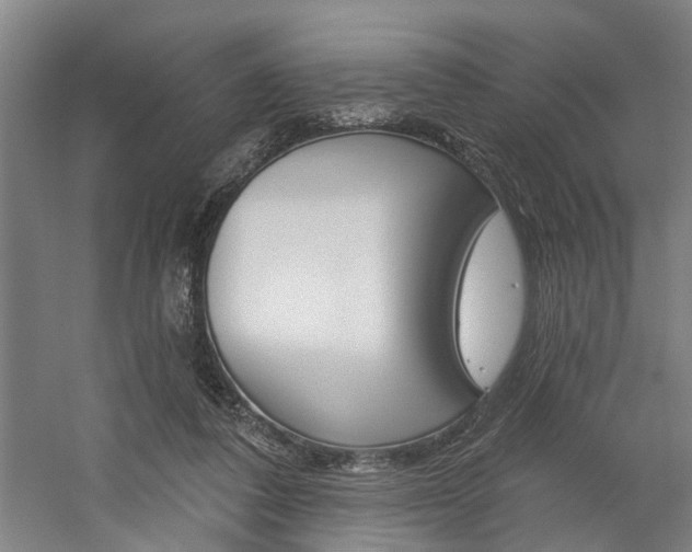 X0000059080308200510070937