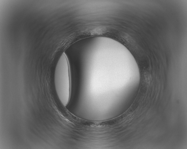 X0000059080311200510070937