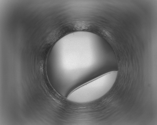 X0000059080315200510070937