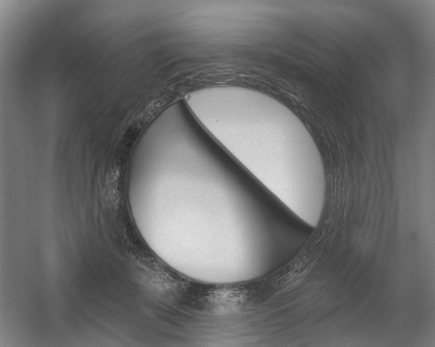 X0000059080319200510070936