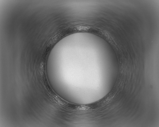 X0000059080321200510070936