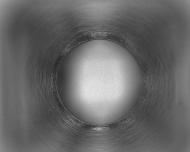 X0000059080323200510070936