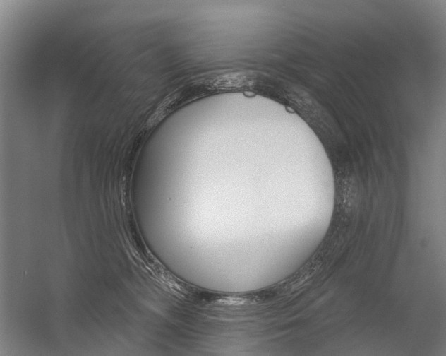 X0000059080326200510070936