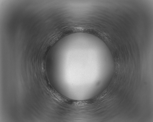 X0000059080331200510070936