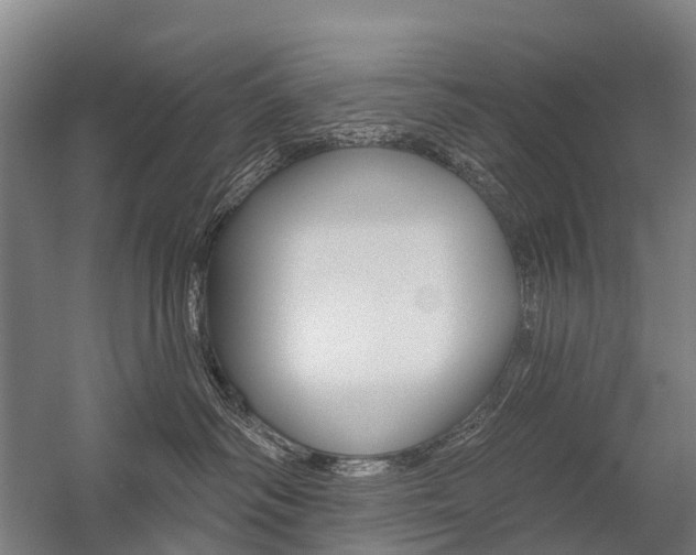 X0000059080334200510070936