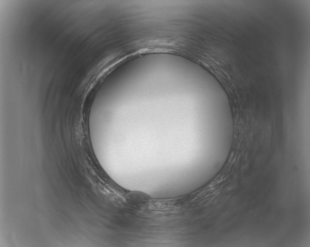 X0000059080338200510070935