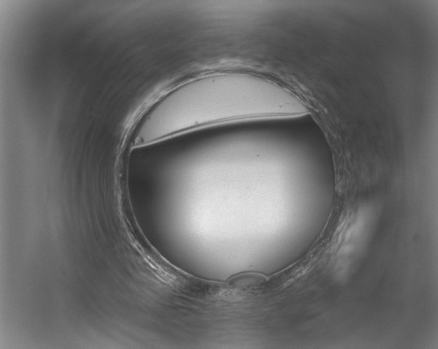 X0000059080341200510070935