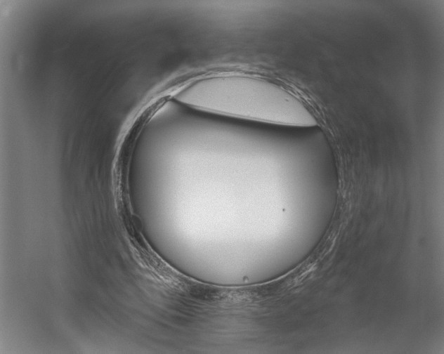 X0000059080343200510070935