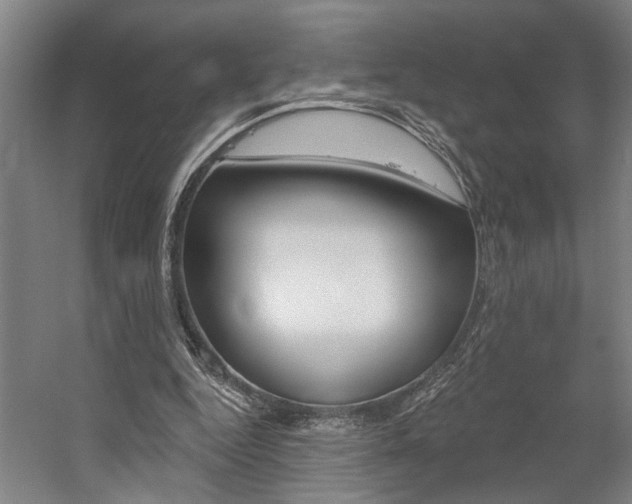 X0000059080344200510070935