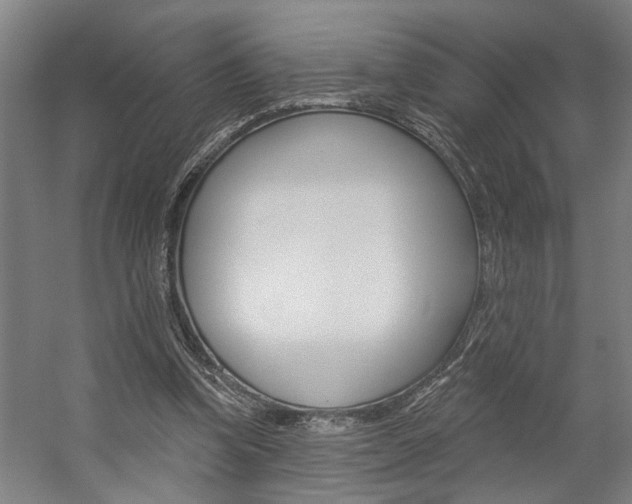 X0000059080346200510070936