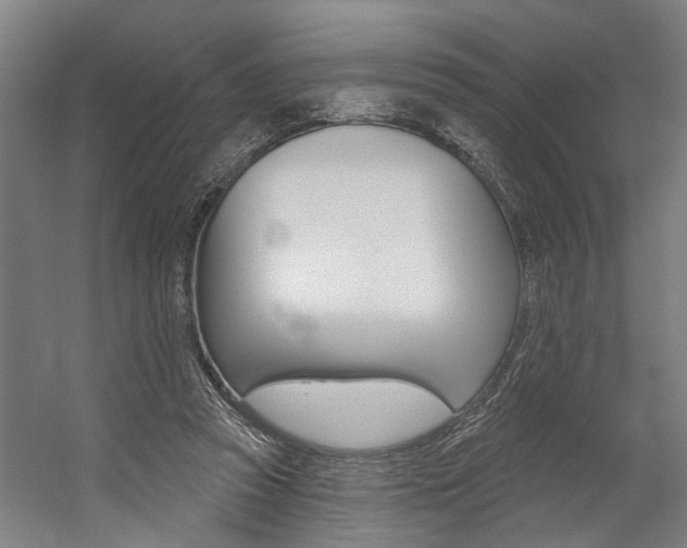 X0000059080353200510070936