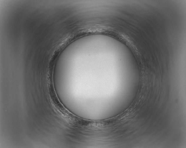 X0000059080354200510070936