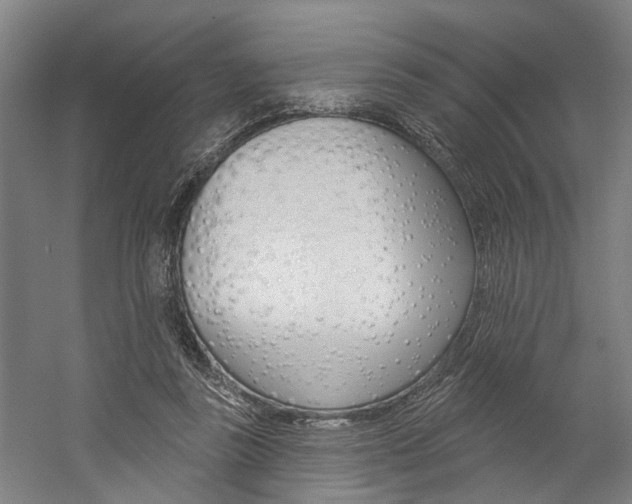 X0000059080355200510070936