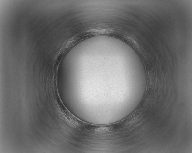X0000059080357200510070936