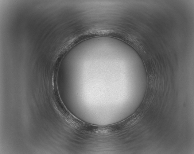 X0000059080358200510070936