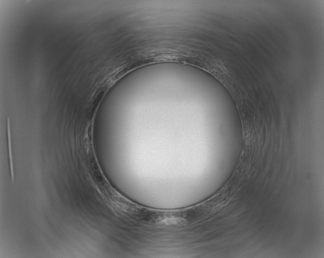 X0000059080360200510070936
