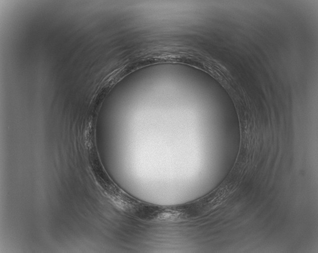 X0000059080364200510070936