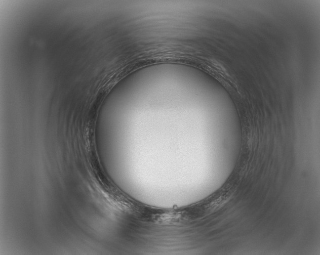X0000059080366200510070936