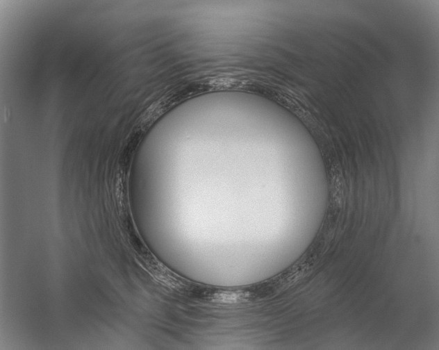 X0000059080375200510070936