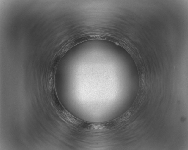 X0000059080376200510070936