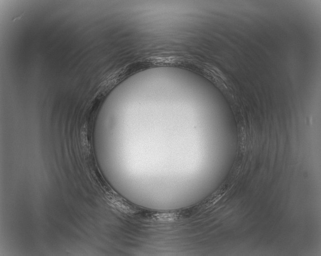 X0000059080377200510070936