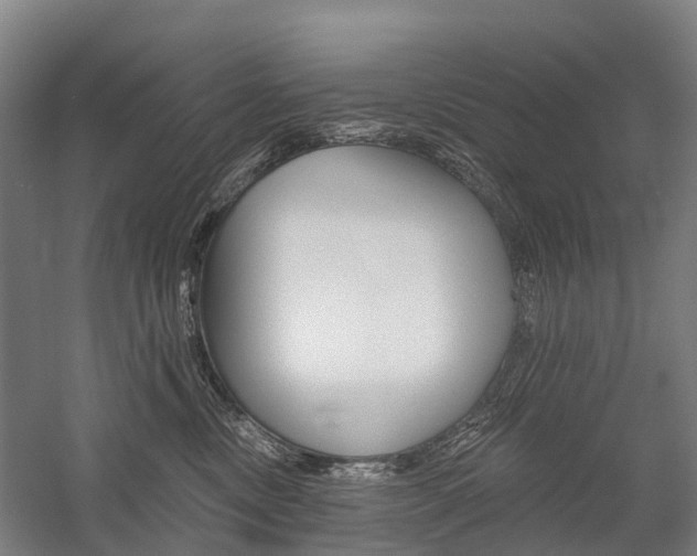 X0000059080378200510070936