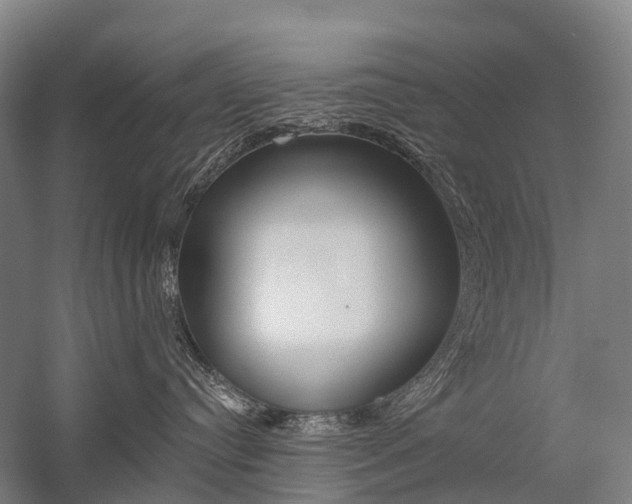 X0000059080384200510070936
