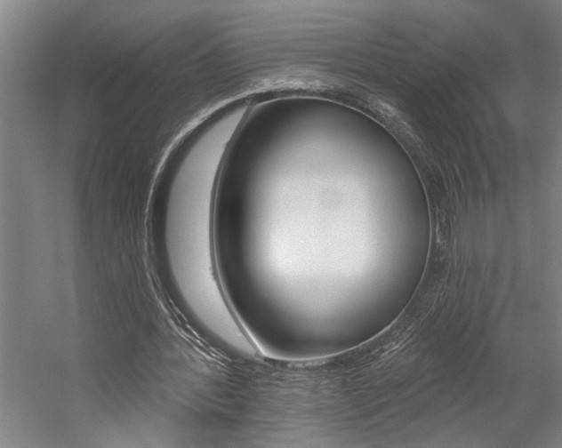 X0000059080388200510070935