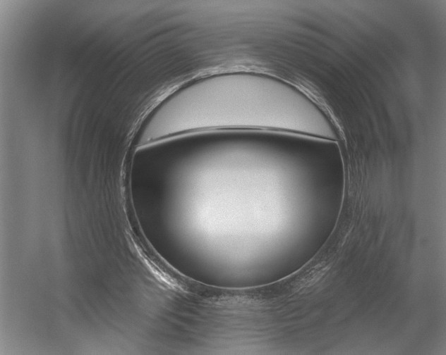 X0000059080389200510070935