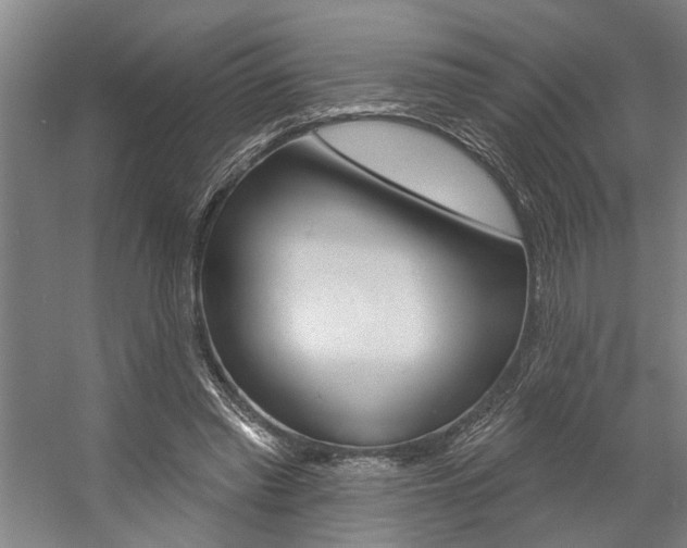 X0000059080397200510070935