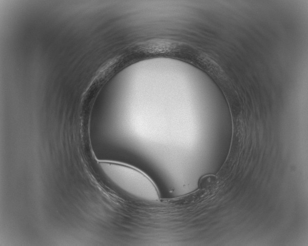 X0000059080400200510070935