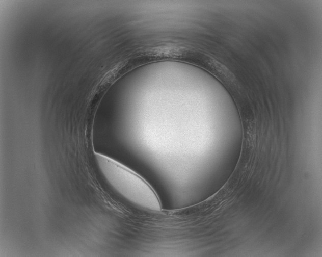 X0000059080403200510070935