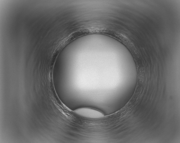 X0000059080405200510070935