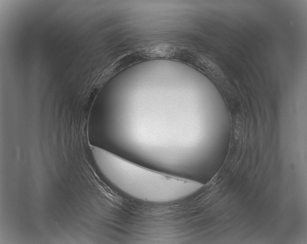 X0000059080409200510070935
