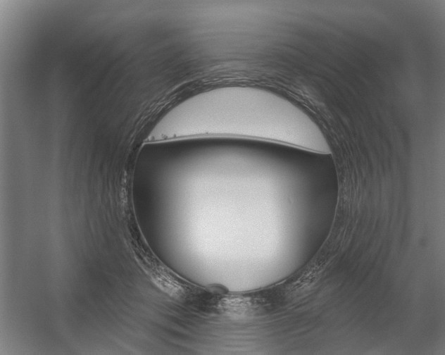 X0000059080413200510070935