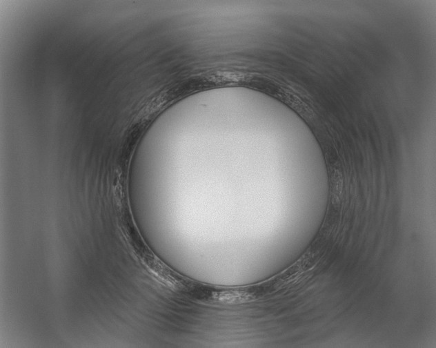 X0000059080414200510070935
