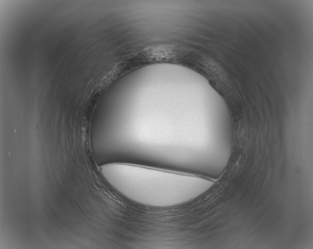 X0000059080417200510070935