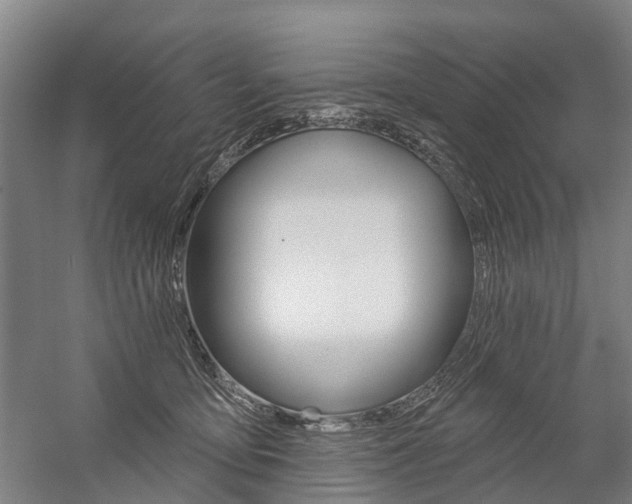 X0000059080419200510070935
