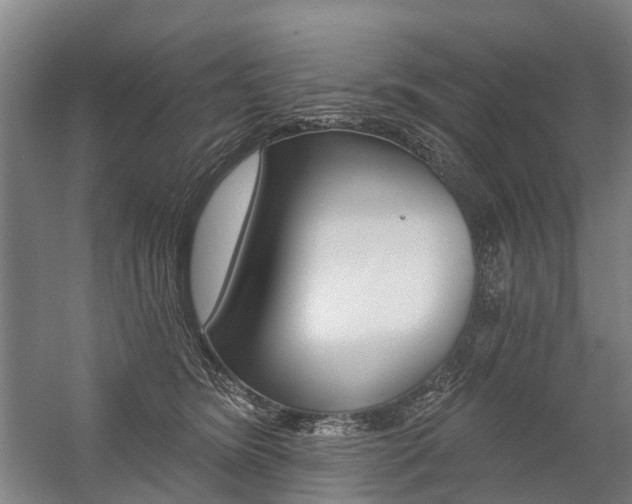 X0000059080420200510070935