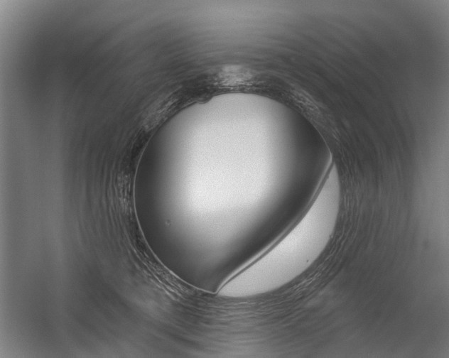X0000059080421200510070935