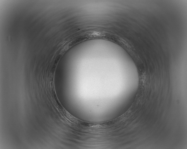 X0000059080423200510070935