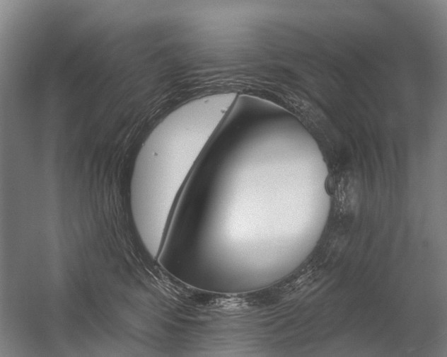 X0000059080424200510070935