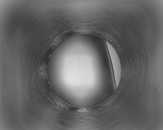 X0000059080425200510070935