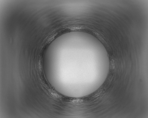 X0000059080426200510070935
