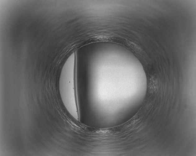 X0000059080428200510070935