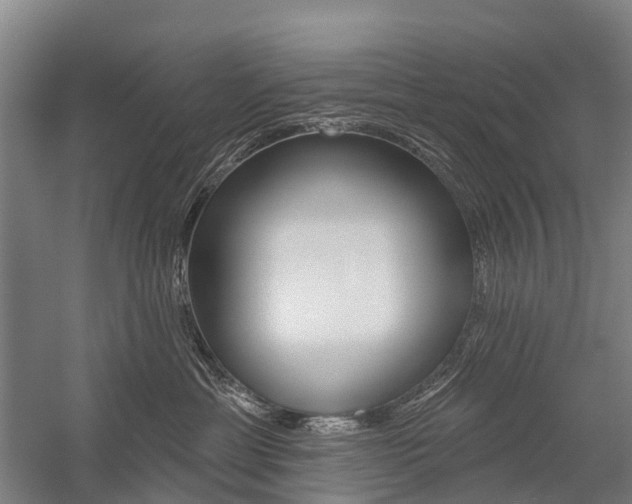 X0000059080429200510070935